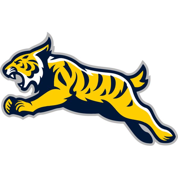 Wildcat Mascot Thumbnail